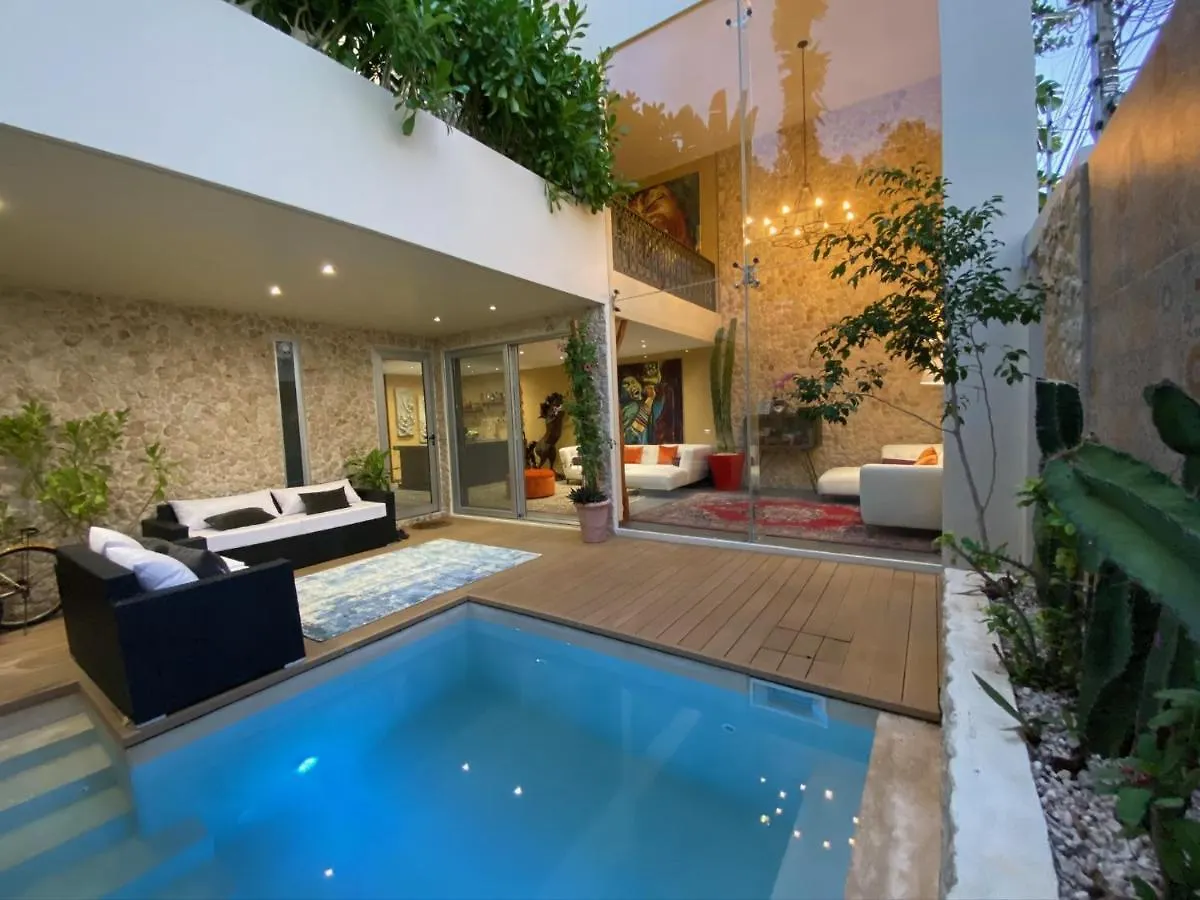 Casarte Boutique Hotel contacts