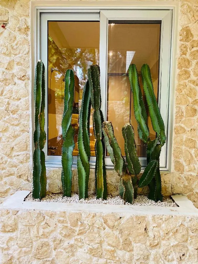 Casarte Boutique Hotel بلايا ديل كارمن المكسيك